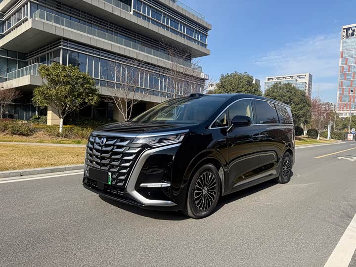 Фото 1 - Denza D9