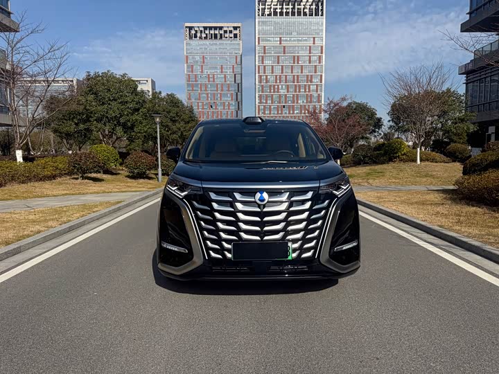 Фото 2 - Denza D9