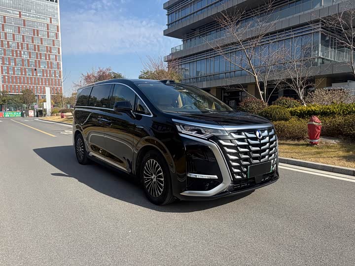 Фото 4 - Denza D9