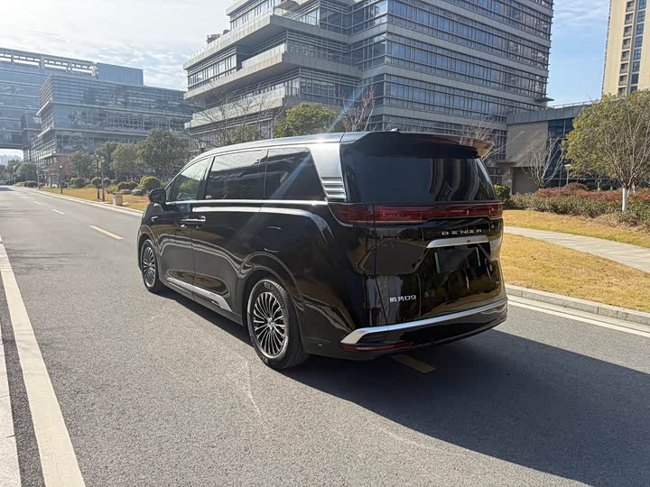 Фото 5 - Denza D9