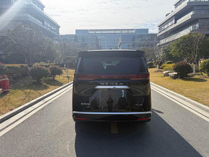 Фото 6 - Denza D9