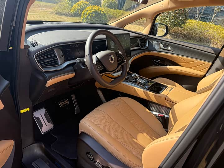 Фото 8 - Denza D9