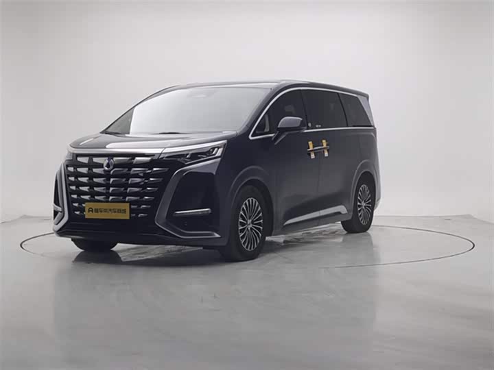 Фото 2 - Denza D9