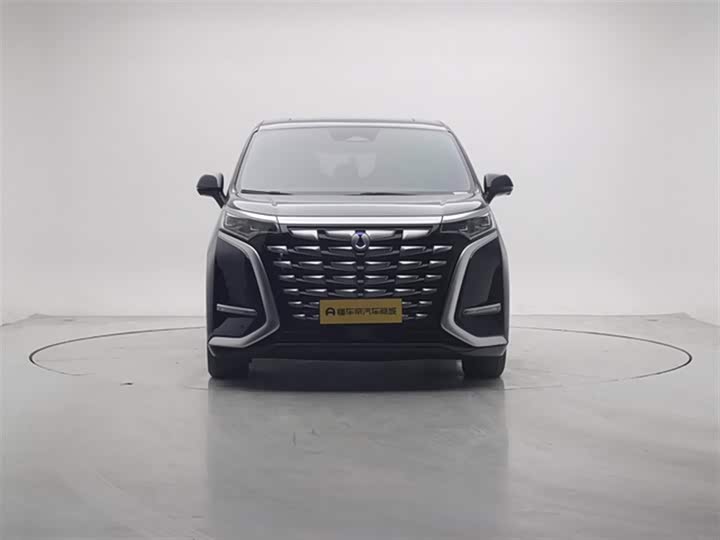 Фото 3 - Denza D9