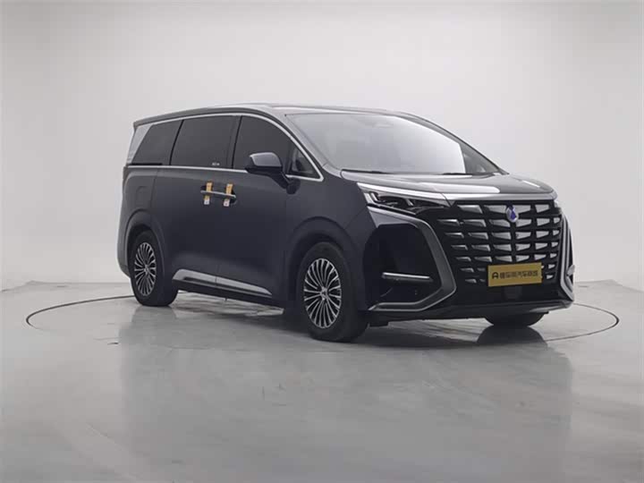 Фото 4 - Denza D9