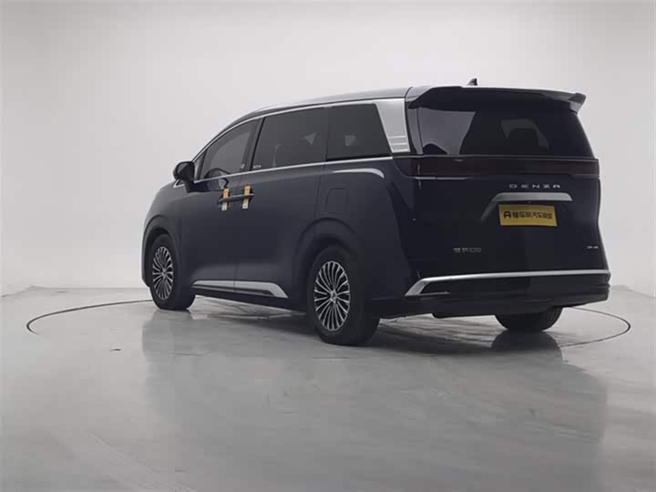 Фото 6 - Denza D9