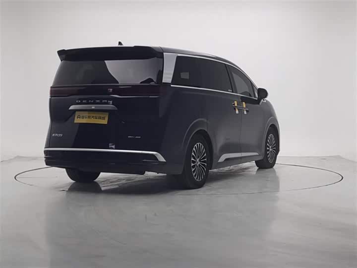 Фото 8 - Denza D9