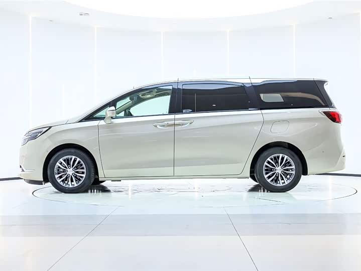 Фото 4 - Buick GL8 ES