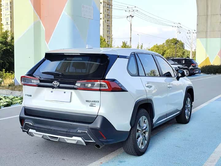 Фото 9 - Toyota Wildlander