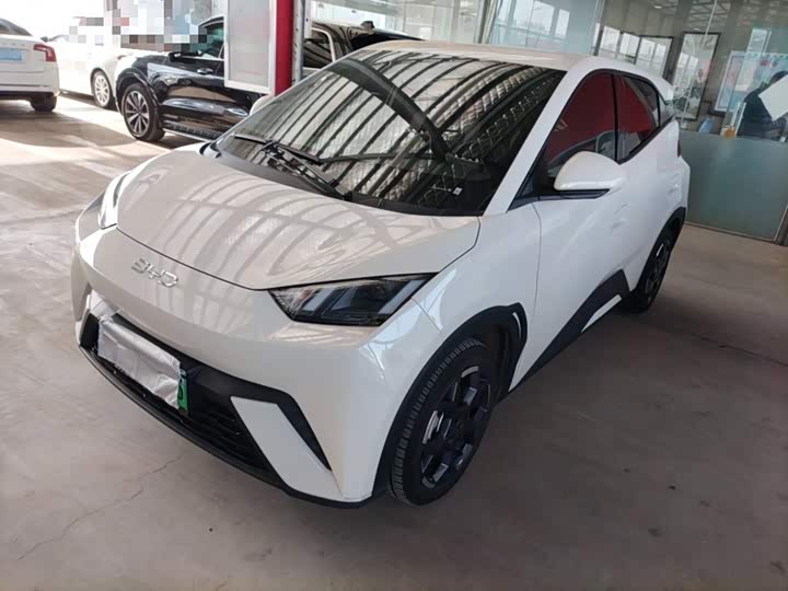 Фото 1 - BYD Seagull