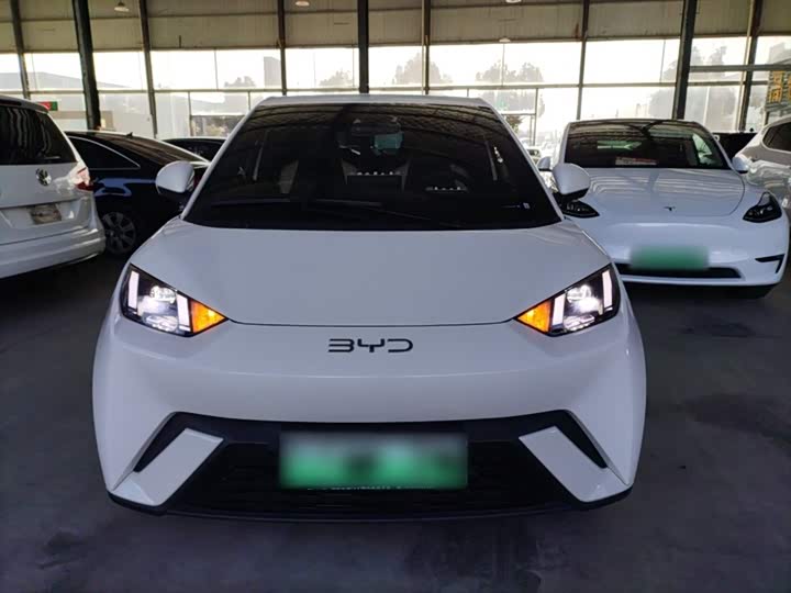 Фото 3 - BYD Seagull