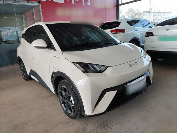 Фото 4 - BYD Seagull