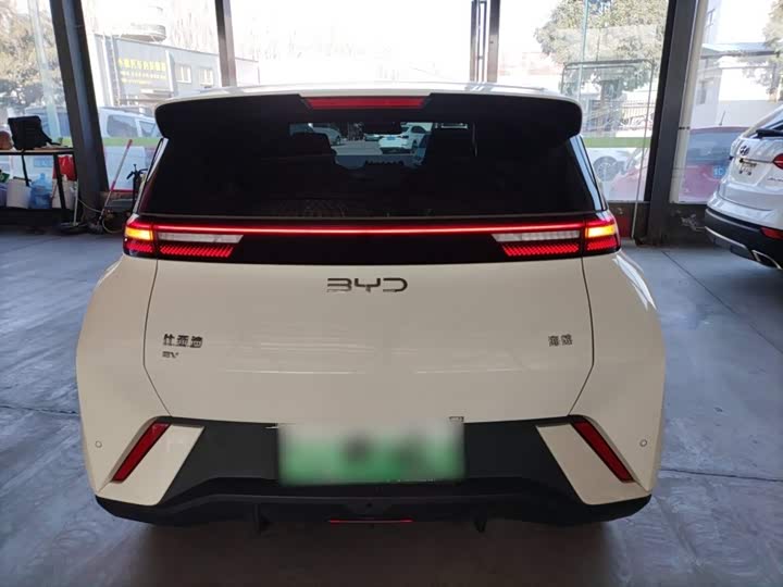 Фото 6 - BYD Seagull