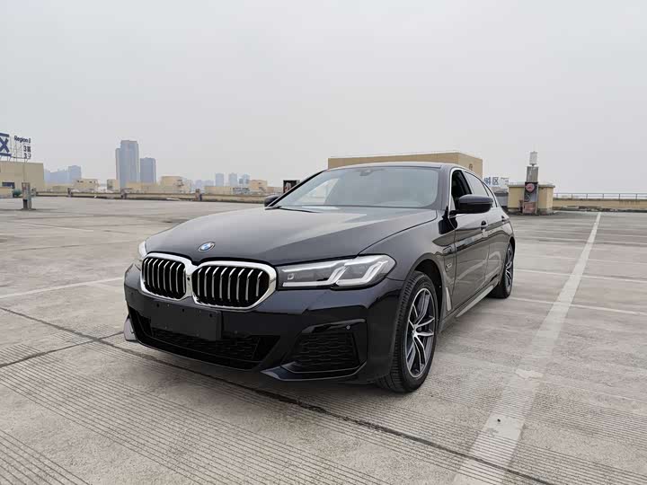 Фото 1 - BMW 5 Series Hybrid