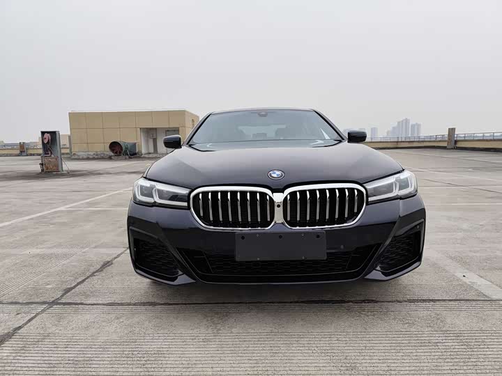 Фото 2 - BMW 5 Series Hybrid