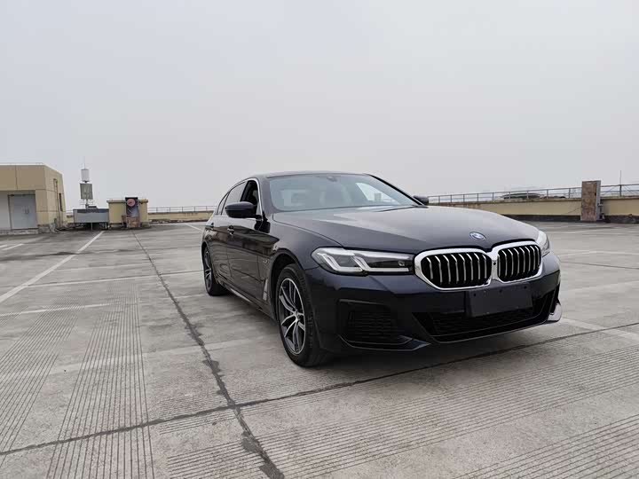 Фото 3 - BMW 5 Series Hybrid