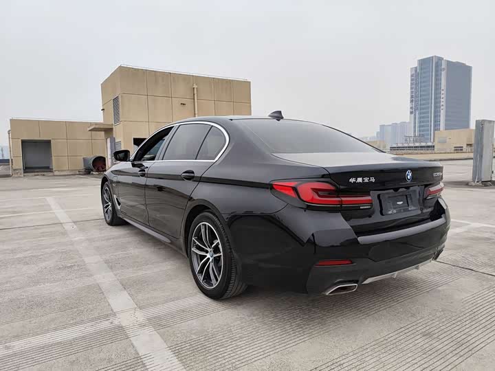 Фото 9 - BMW 5 Series Hybrid