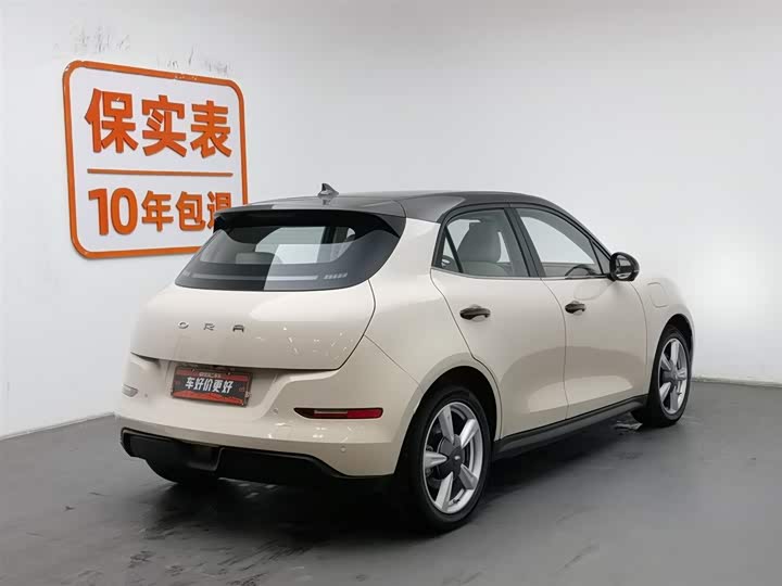 Фото 2 - Ora Good Cat (03)