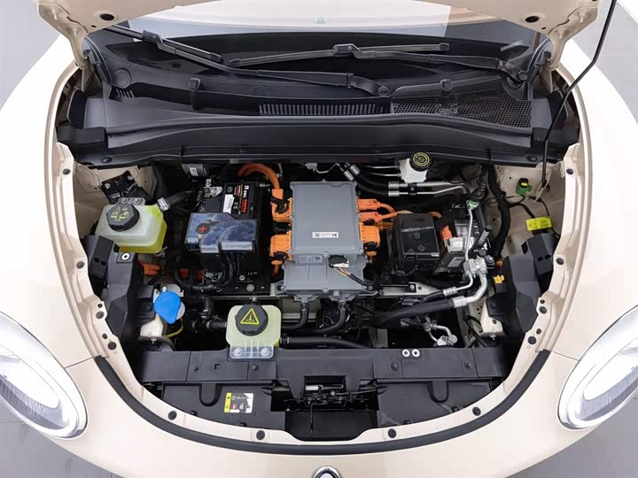 Фото 6 - Ora Good Cat (03)