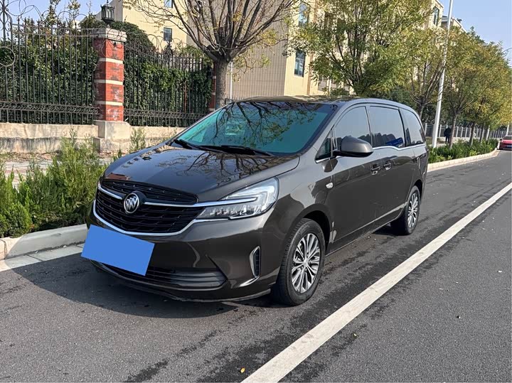 Фото 1 - Buick GL8 ES