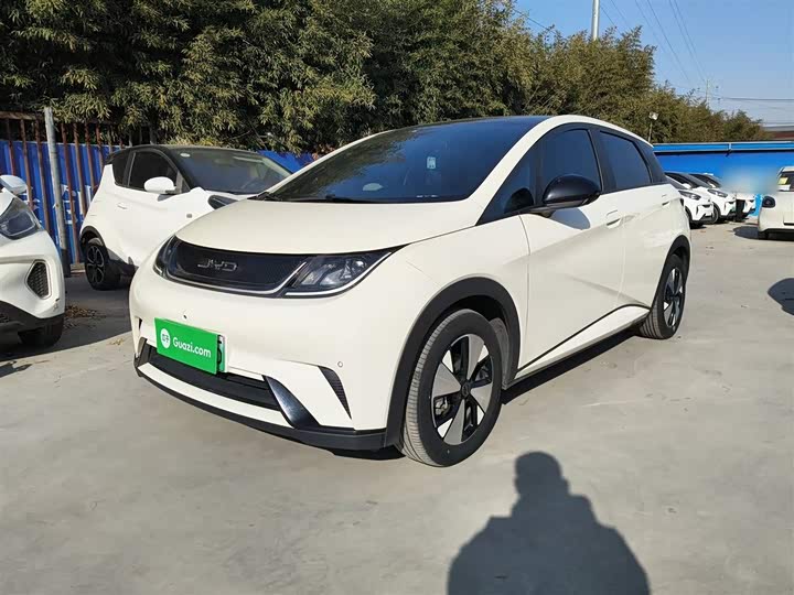 Фото 2 - BYD Dolphin