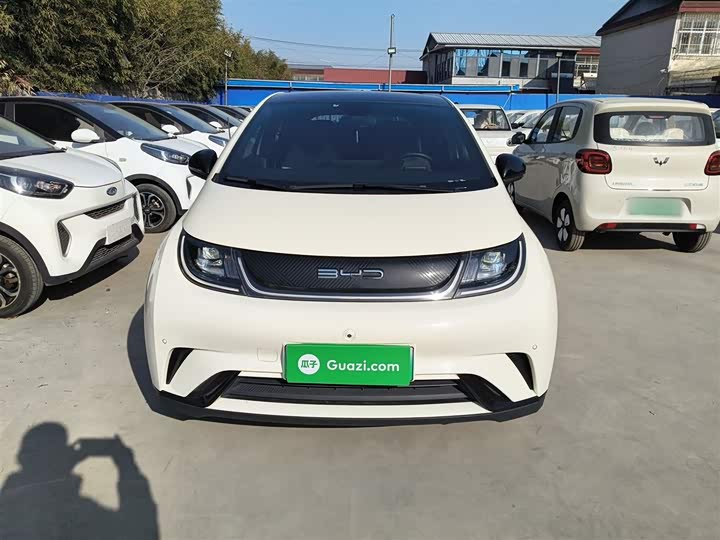 Фото 3 - BYD Dolphin