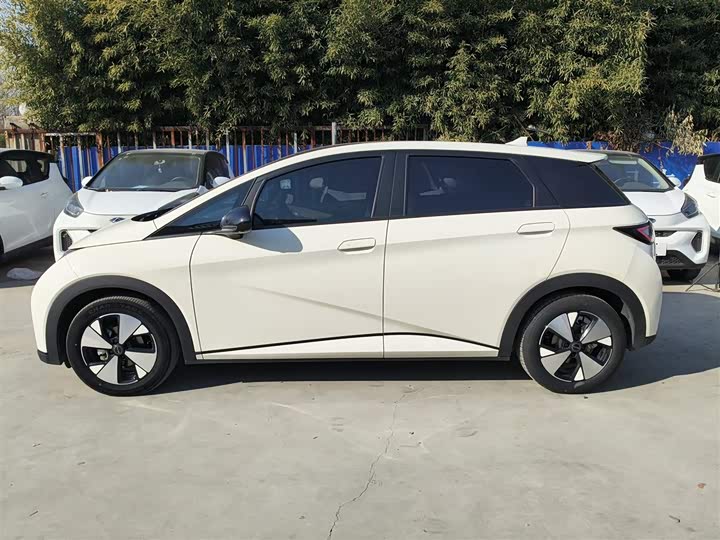 Фото 5 - BYD Dolphin