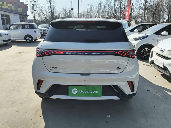 Фото 6 - BYD Dolphin