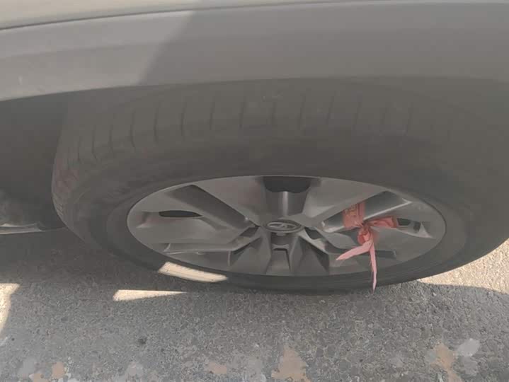 Фото 6 - Toyota Wildlander