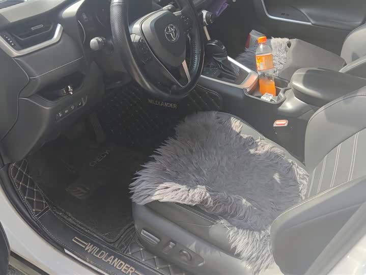 Фото 9 - Toyota Wildlander