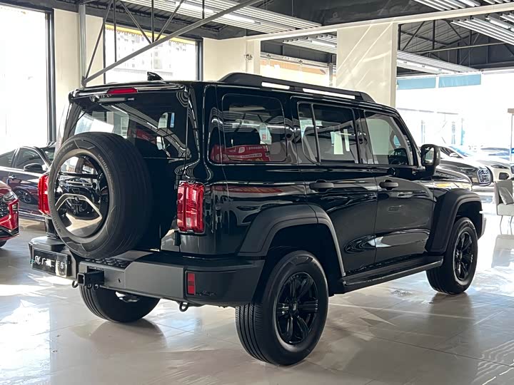 Фото 4 - Tank 300