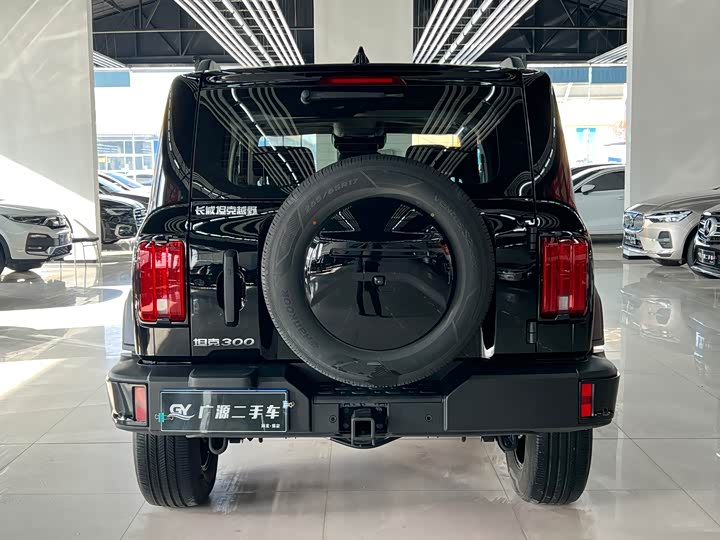 Фото 5 - Tank 300