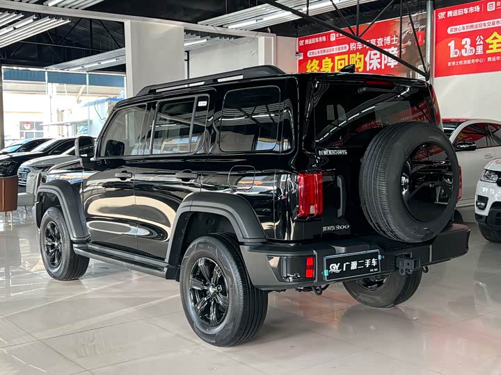 Фото 6 - Tank 300