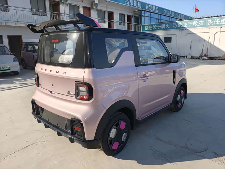 Фото 4 - Geely Galaxy Panda Mini