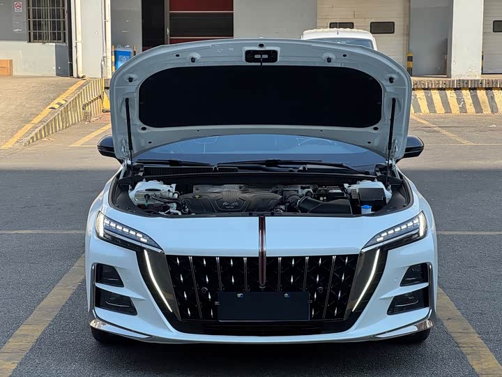 Фото 8 - Hongqi H6