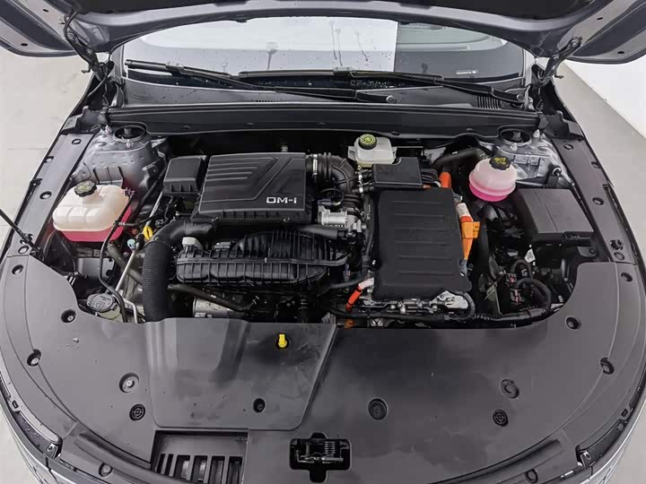 Фото 6 - BYD Destroyer 05