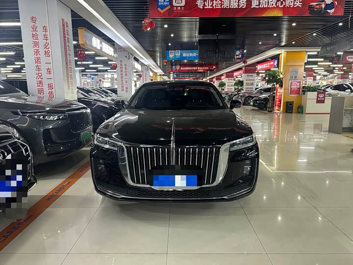 Фото 2 - Hongqi H9
