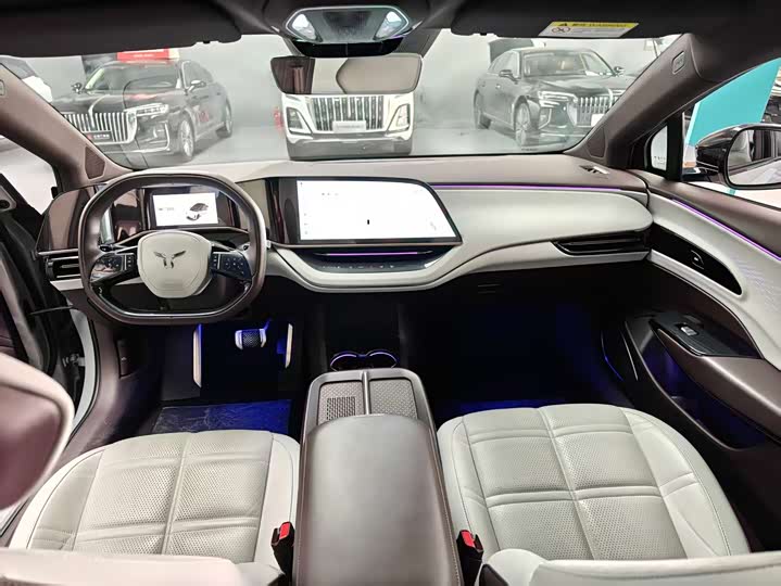 Фото 7 - Hongqi EH7