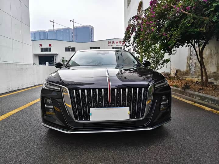 Фото 2 - Hongqi H5