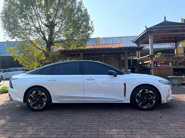 Фото 4 - Hongqi H6