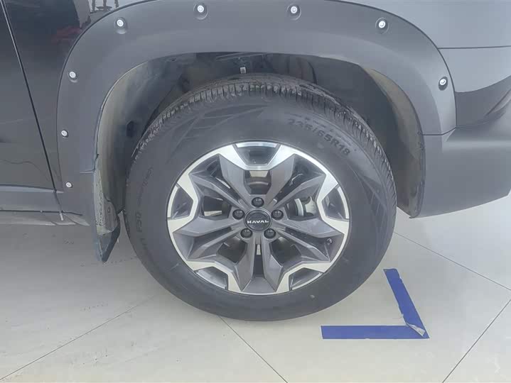 Фото 6 - Haval Dargo