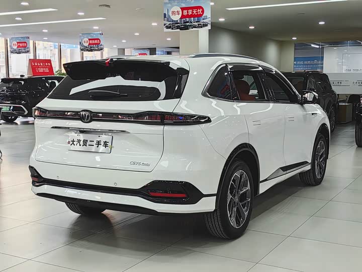 Фото 4 - Changan CS75 Plus