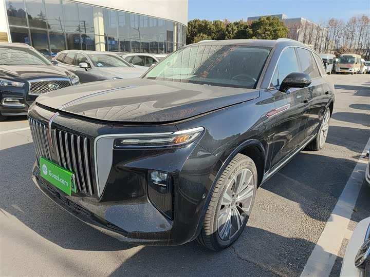 Фото 1 - Hongqi E-HS9