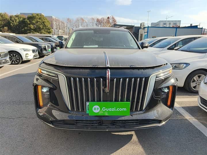 Фото 3 - Hongqi E-HS9