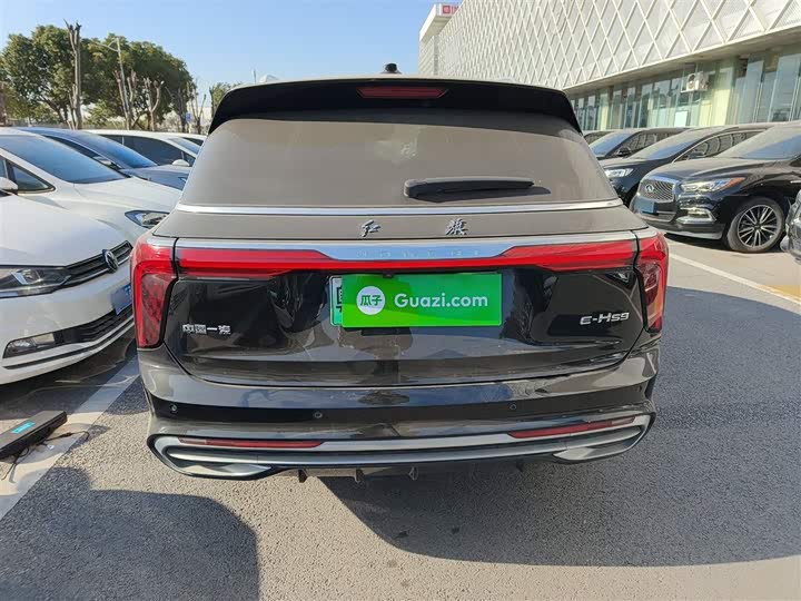 Фото 6 - Hongqi E-HS9