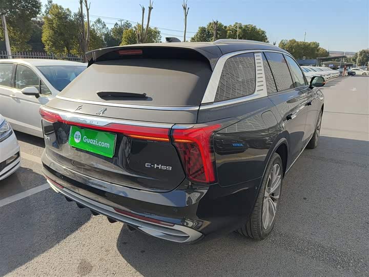 Фото 7 - Hongqi E-HS9
