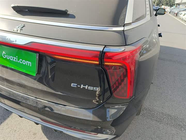 Фото 8 - Hongqi E-HS9