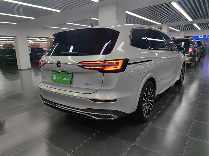 Фото 7 - Volkswagen Viloran