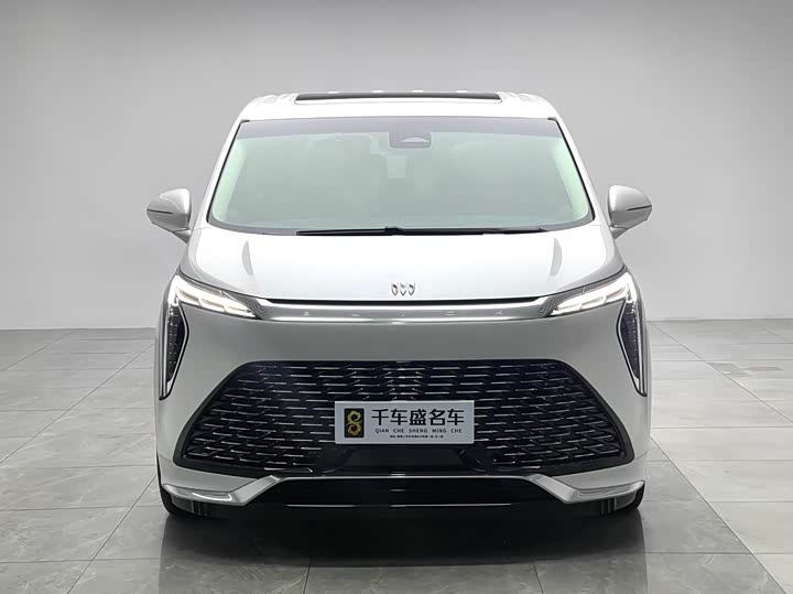 Фото 2 - Buick GL8 Century