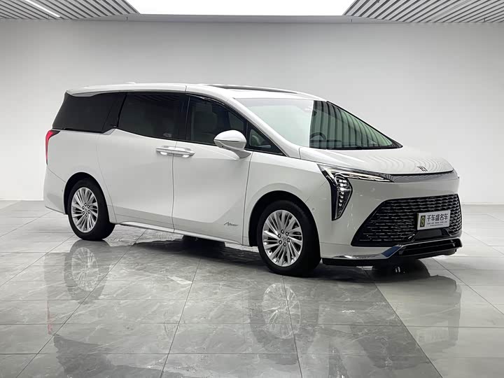 Фото 3 - Buick GL8 Century